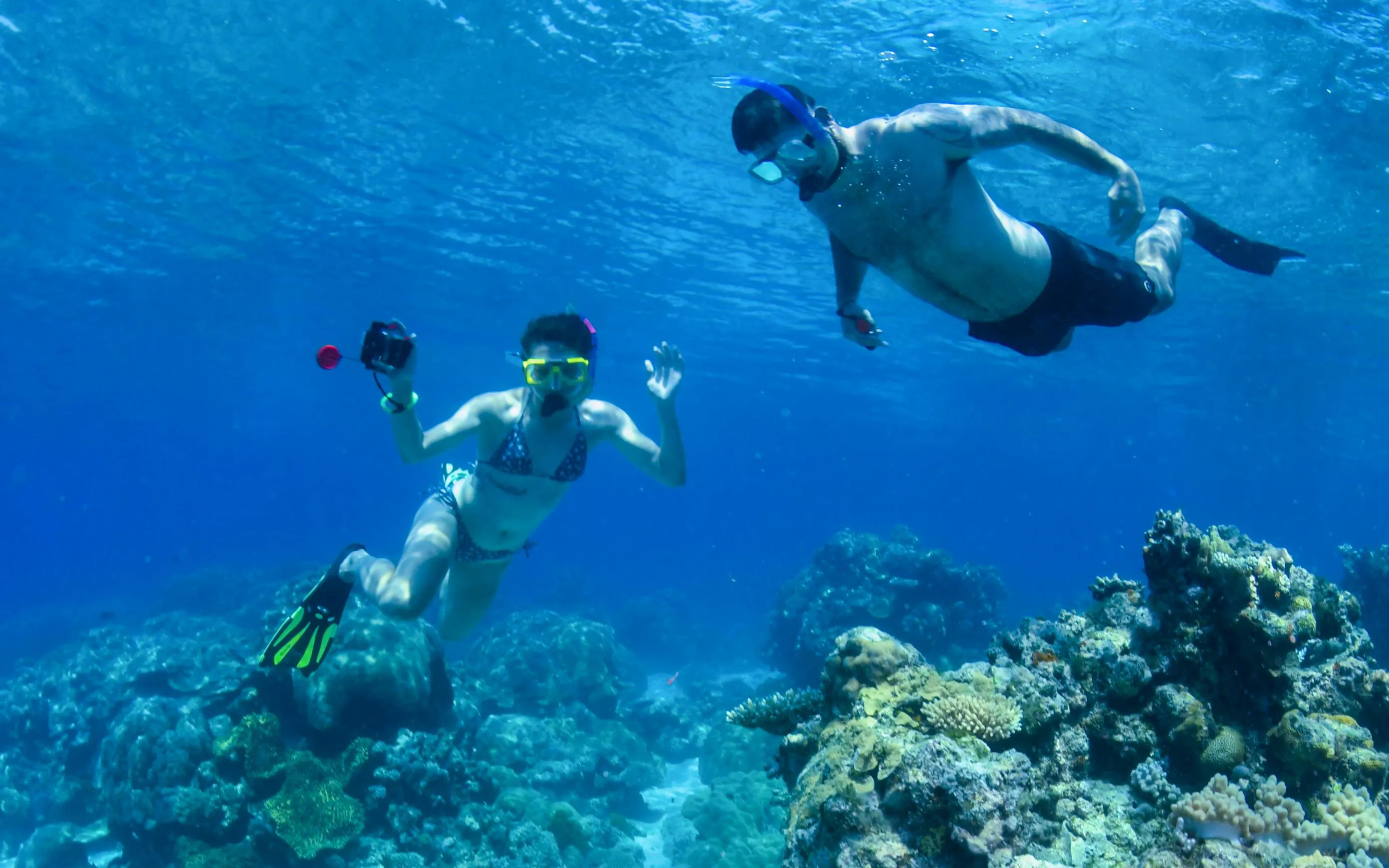 Snorkelers exploring coral reefs in clear waters near Cairns.