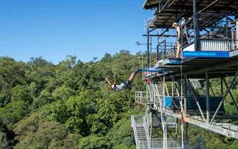 Bungy jump swan dive from platform at Skypark Cairns, surrounded by lush forest.
