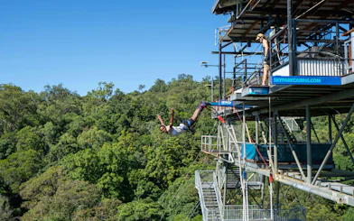 Bungy jump swan dive from platform at Skypark Cairns, surrounded by lush forest.