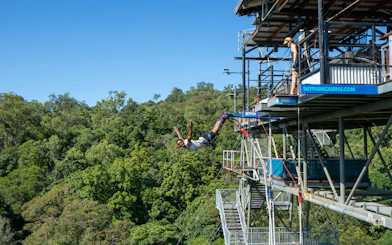 Bungy jump swan dive from platform at Skypark Cairns, surrounded by lush forest.