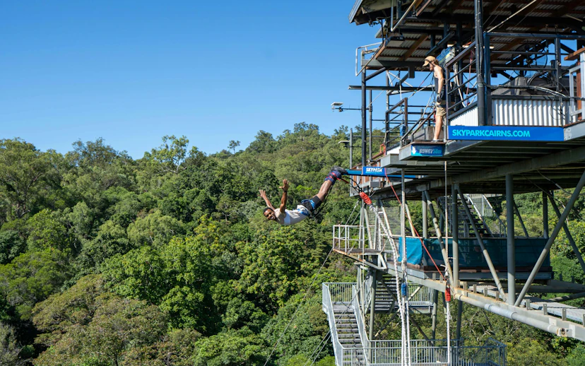 Bungy jump swan dive from platform at Skypark Cairns, surrounded by lush forest.