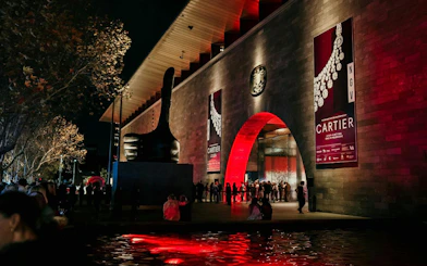 Crowd outside National Gallery Victoria for NGV Friday Nights Cartier Exhibition.