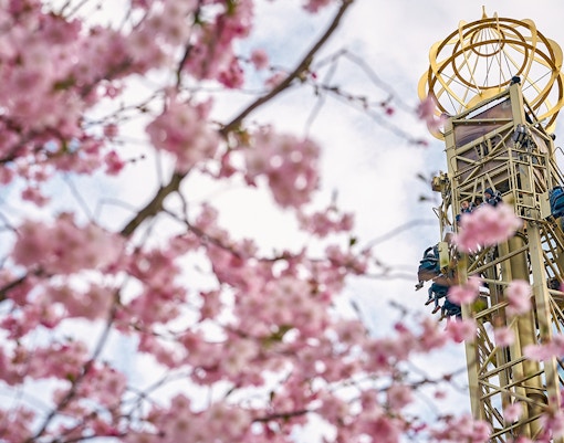 tivoli gardens copenhagen