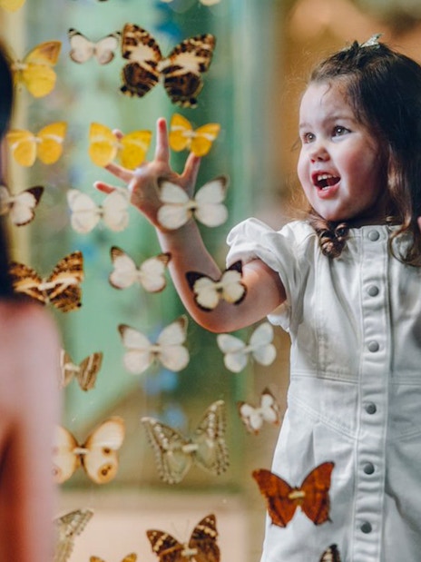Children interacting with butterfly exhibit at Melbourne Museum.