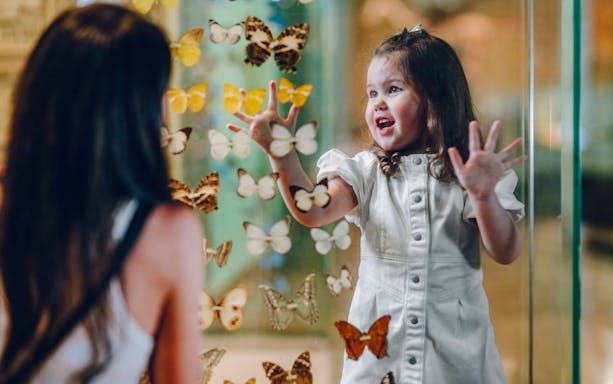 Children interacting with butterfly exhibit at Melbourne Museum.