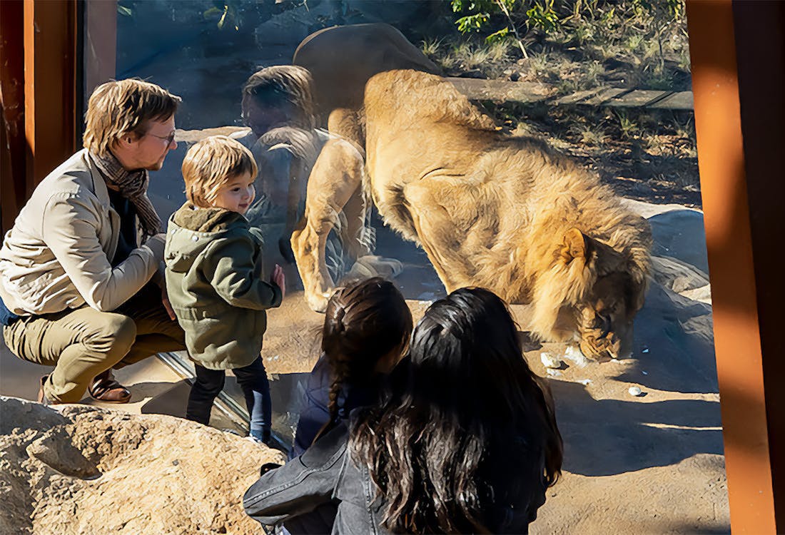 Taronga Zoo
