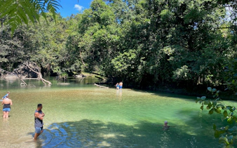 paronella park cassowary coast guided day and night tour-9