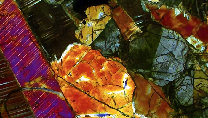 American Museum of Natural History