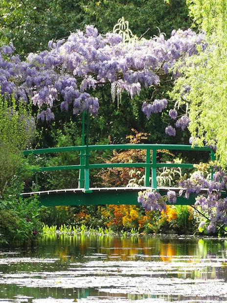 Giverny garden with green bridge and wisteria, part of Monet's House tour from Paris.