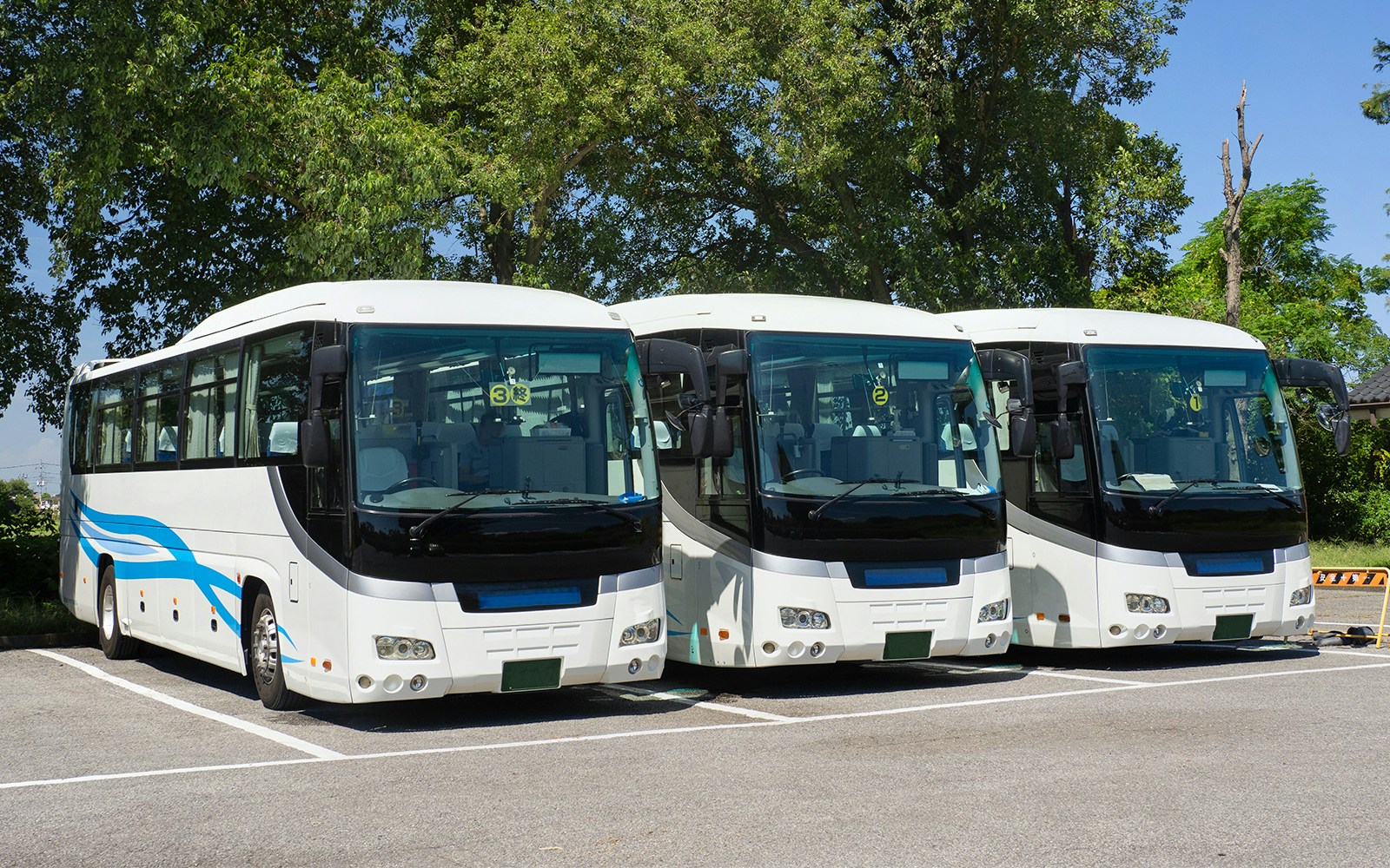 Tourist bus, Japan