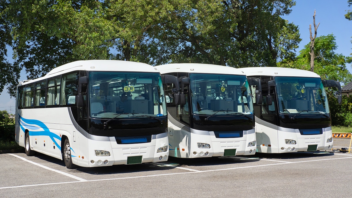 Melbourne cruise boarding points by bus