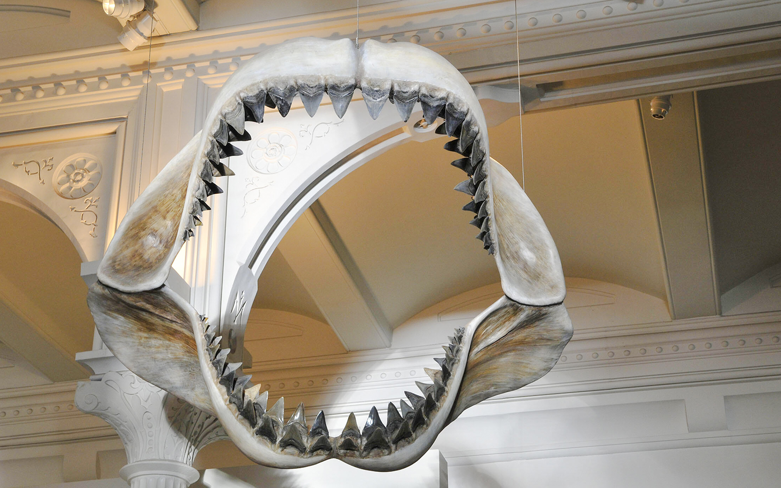 Dinosaur skeleton exhibit at Hall of Vertebrate Origins, American Museum of Natural History, New York City.