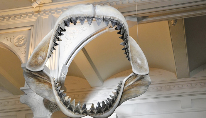 Dinosaur skeleton exhibit at Hall of Vertebrate Origins, American Museum of Natural History, New York City.