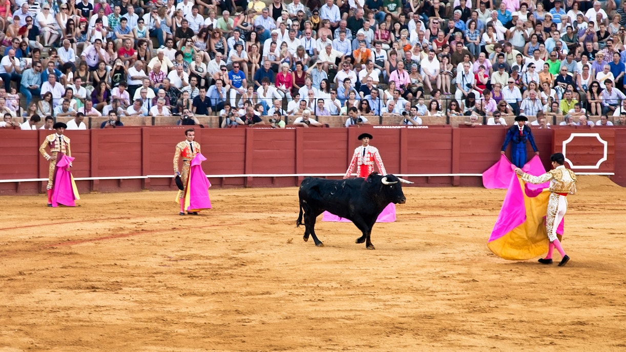 Seville Bullring Tips and Guidelines