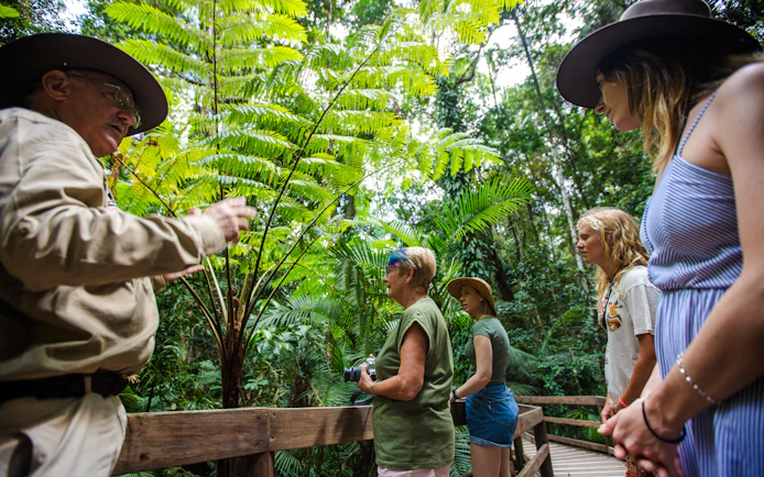 Guide explaining rainforest plants to tourists on Billy Tea Safaris tour in Daintree & Cape Tribulation.