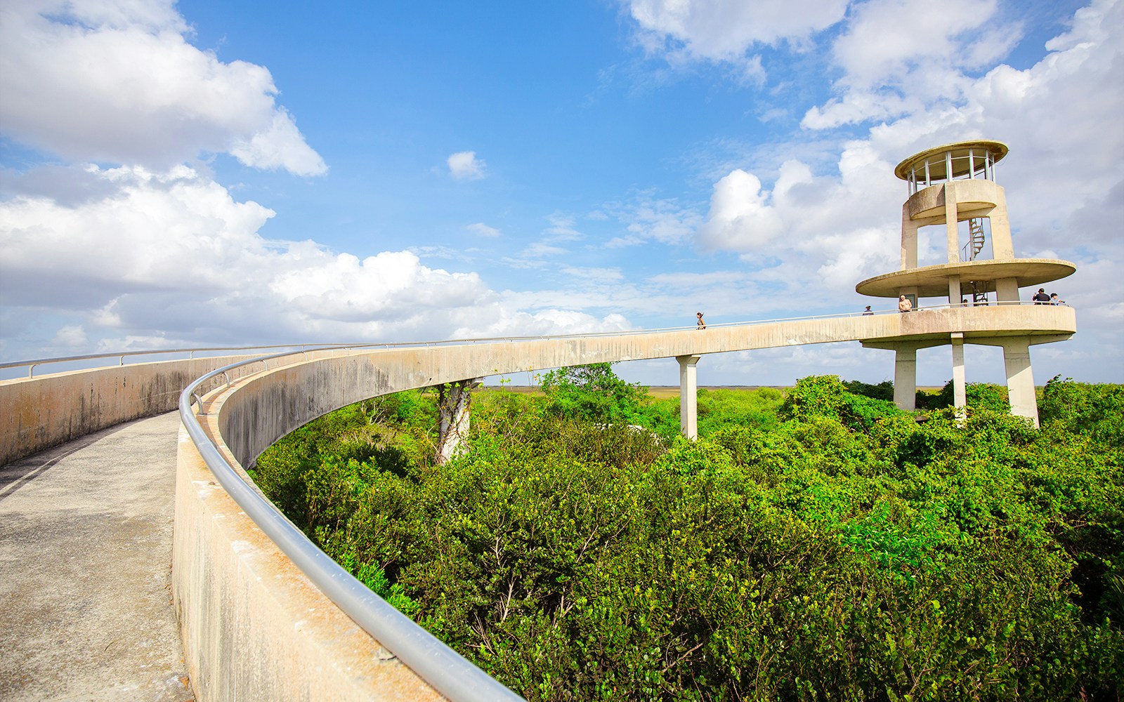 Shark Valley Observation Tower in Everglades National Park with walkway and lush greenery.