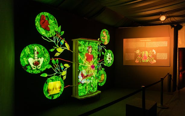 Frida Kahlo immersive exhibit with vibrant botanical projections and biography display.
