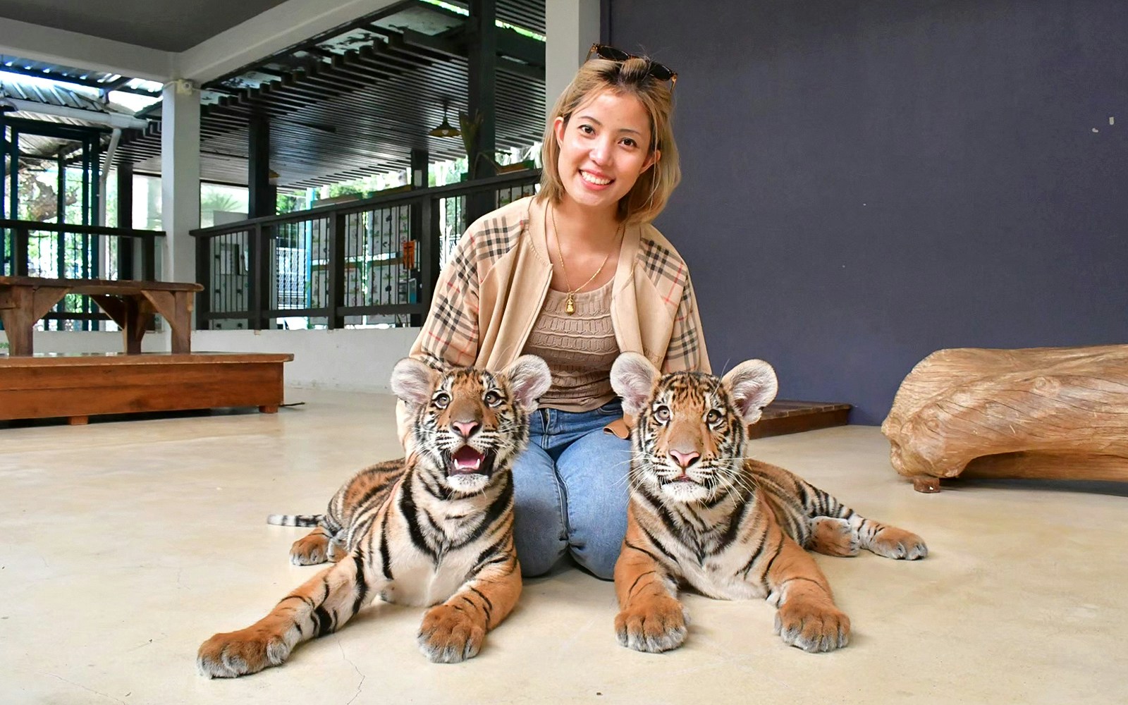 Tiger Park Pattaya