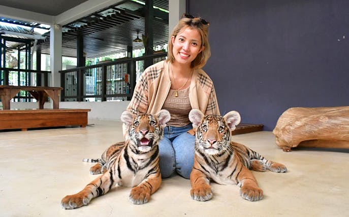 Guests posing with tiger cubs at Tiger Park Pattaya.