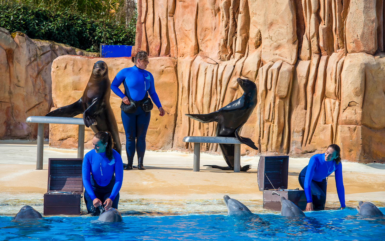 Parc Asterix Les plongeons de l’Olympe