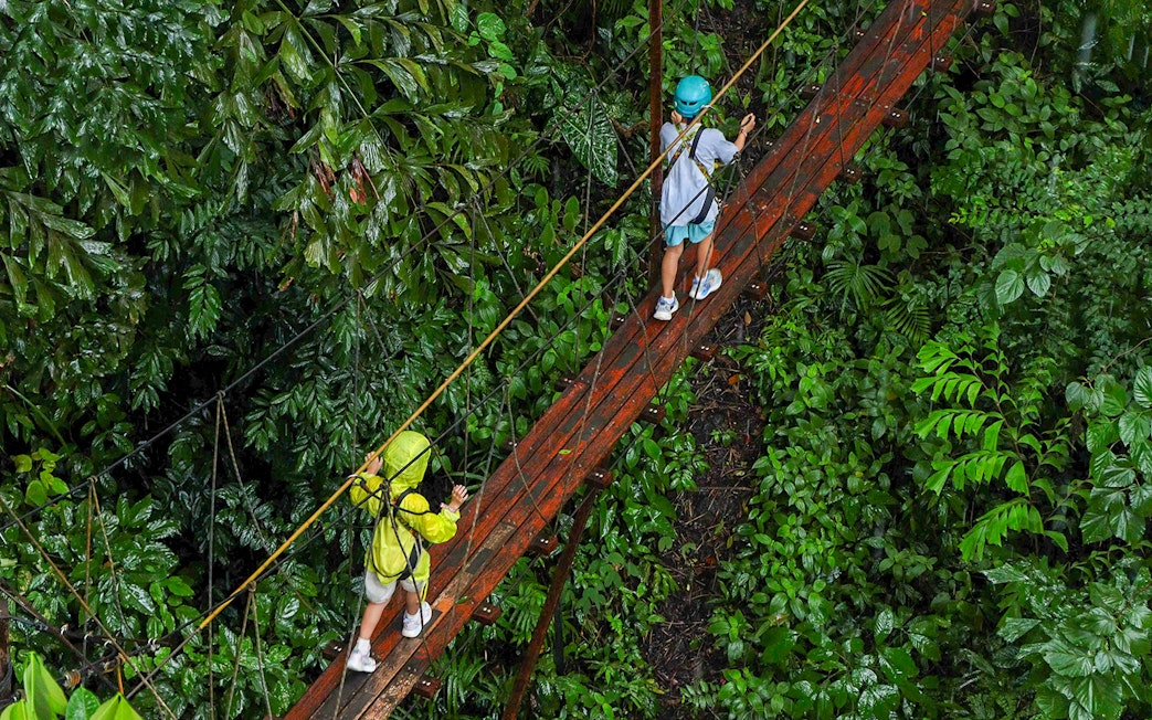 Visitors crossing a canopy bridge at Hanuman World zipline adventure in lush rainforest.