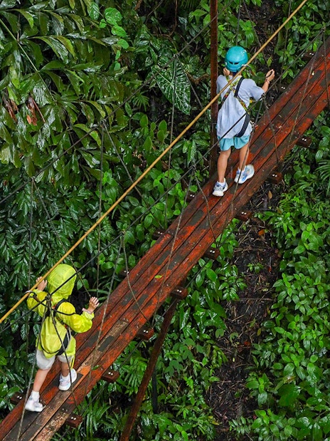 Visitors crossing a canopy bridge at Hanuman World zipline adventure in lush rainforest.