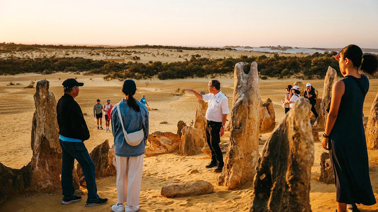 Group exploring Pinnacles Desert at sunset during stargazing and wildlife tour.