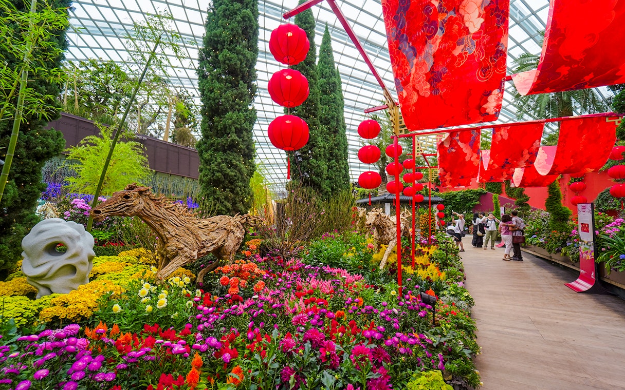 Spring blossoms and red lanterns in Flower Dome, Gardens by the Bay, Singapore.