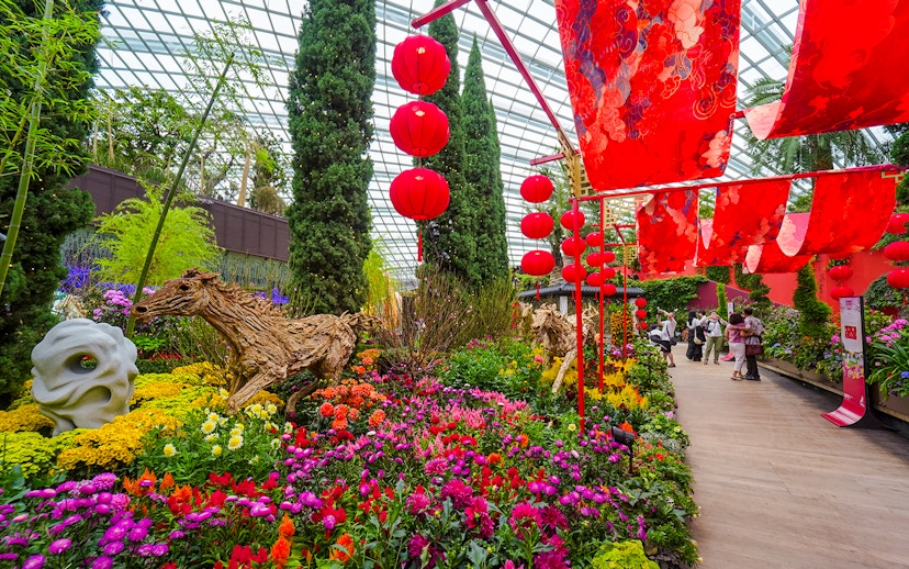 Spring blossoms and red lanterns in Flower Dome, Gardens by the Bay, Singapore.