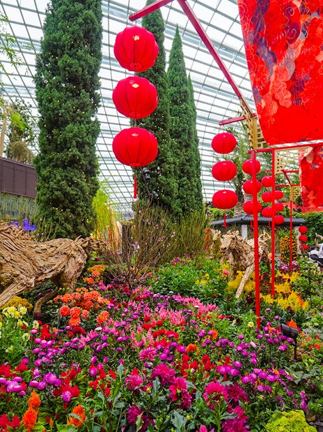 Spring blossoms and red lanterns in Flower Dome, Gardens by the Bay, Singapore.