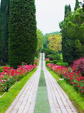 Pathway lined with vibrant flowers and tall trees at Sigurta Park, Italy.