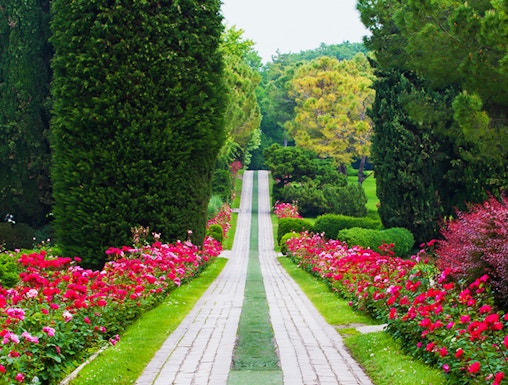 Pathway lined with vibrant flowers and tall trees at Sigurta Park, Italy.