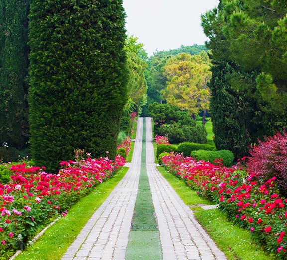 Pathway lined with vibrant flowers and tall trees at Sigurta Park, Italy.