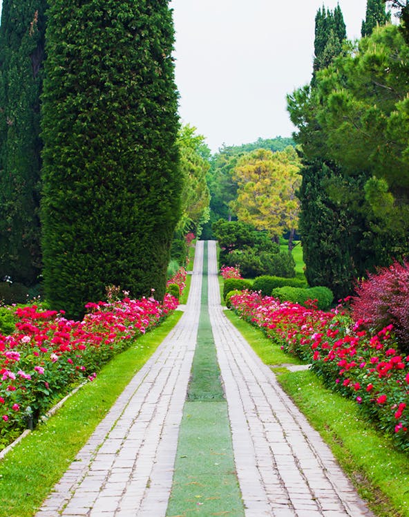 Pathway lined with vibrant flowers and tall trees at Sigurta Park, Italy.