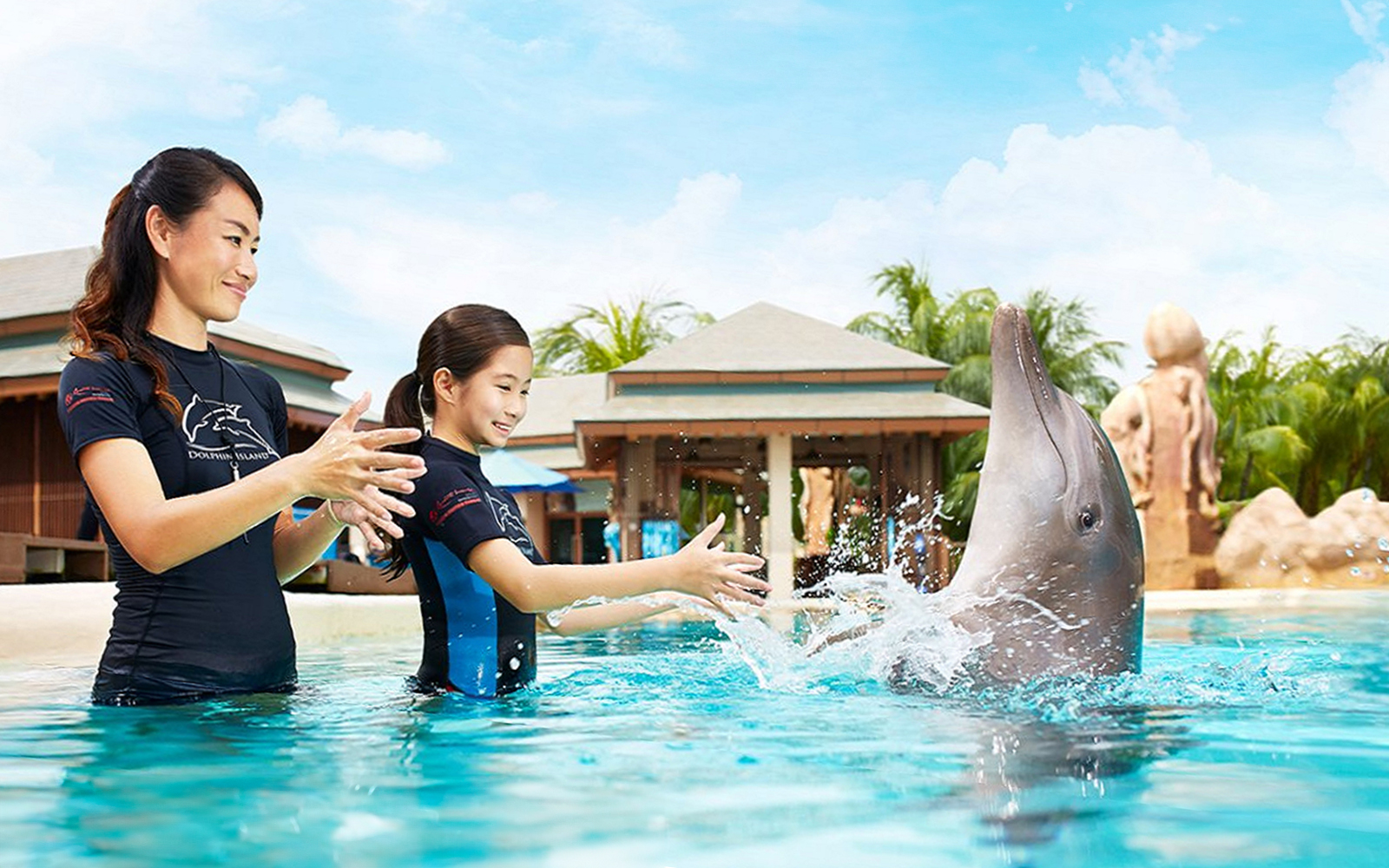 Girl interacting with dolphin at Dolphin Island, Resorts World Sentosa, Singapore.