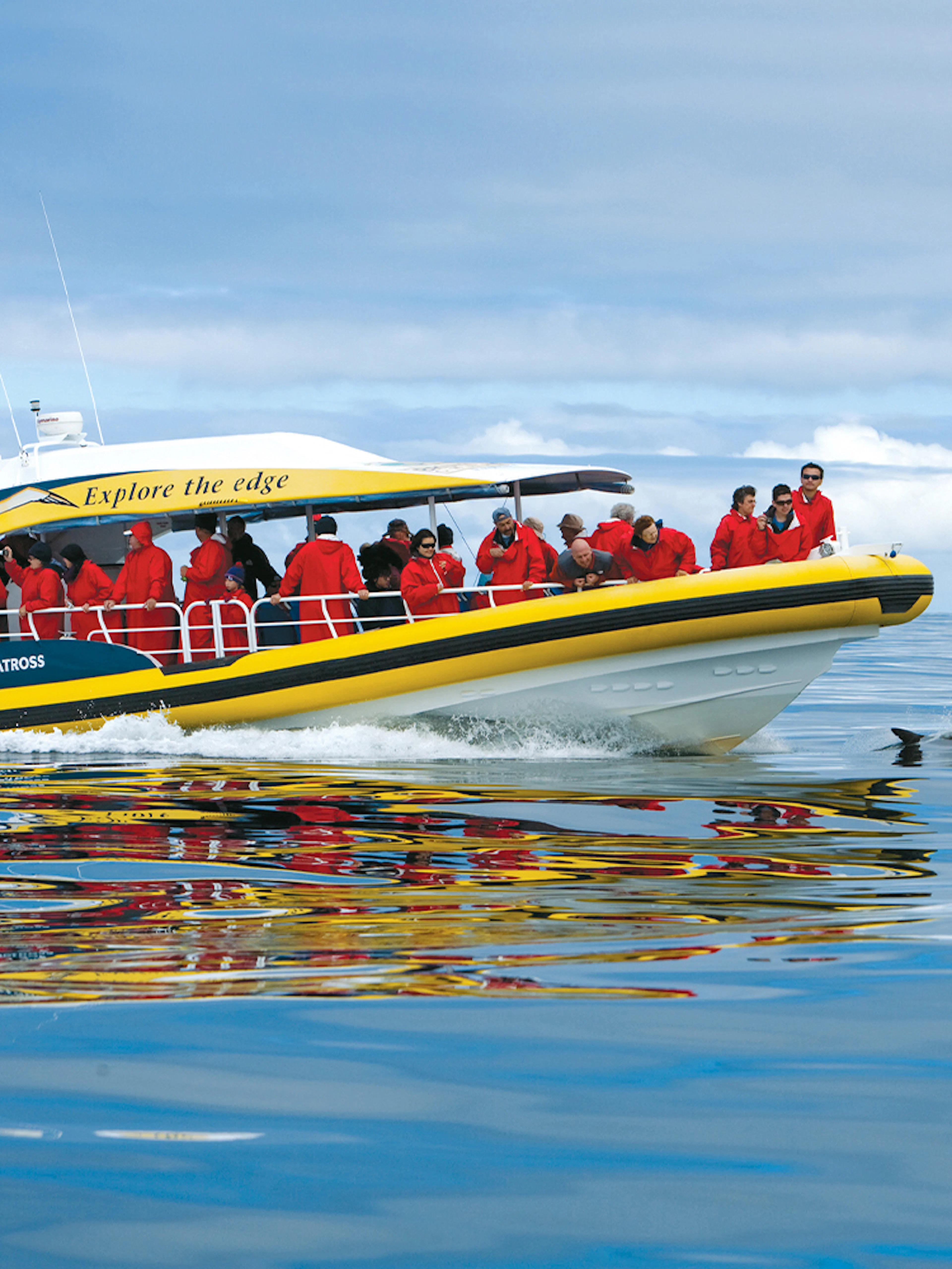 Tourists on a boat watching dolphins during Tasman Island cruise from Hobart.