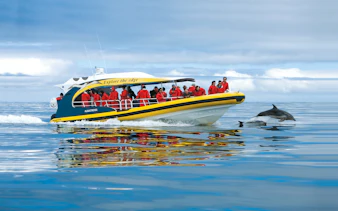 Tourists on a boat watching dolphins during Tasman Island cruise from Hobart.