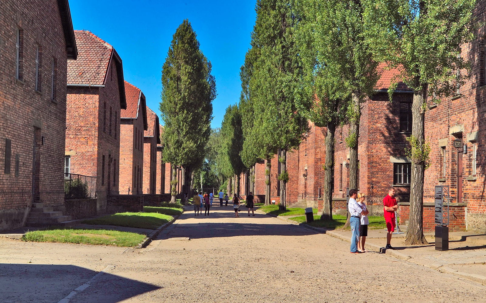 Barrack houses along a tree-lined path at Auschwitz Birkenau, with visitors exploring the site.