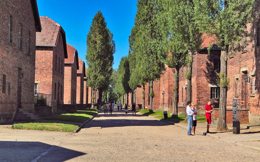 Barrack houses along a tree-lined path at Auschwitz Birkenau, with visitors exploring the site.