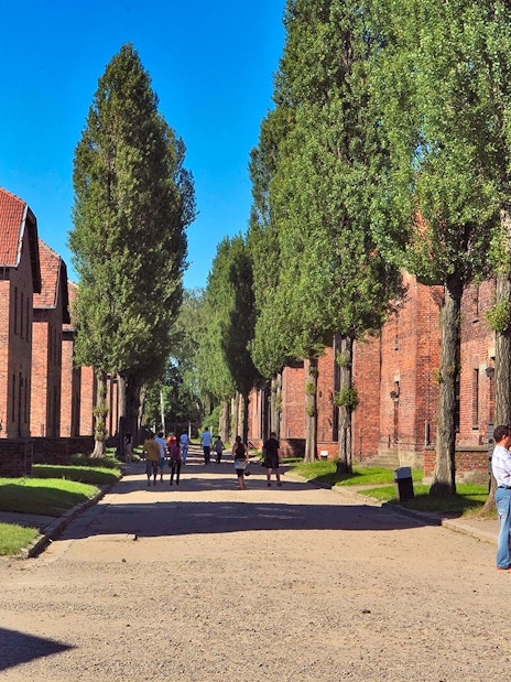 Barrack houses along a tree-lined path at Auschwitz Birkenau, with visitors exploring the site.