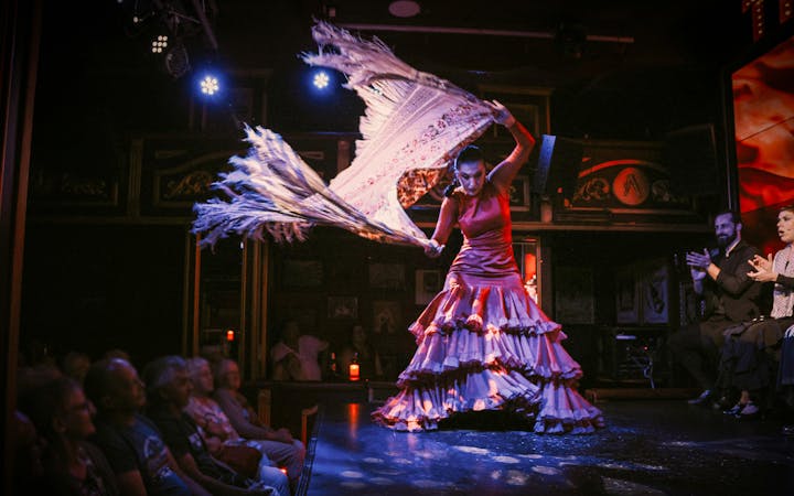 Flamenco dancer performing at Teatro Flamenco Málaga Club with audience watching.