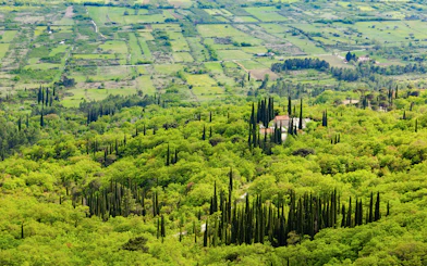 Bird's-eye view of fields and villages in Konavle region near Dubrovnik, surrounded by greenery.