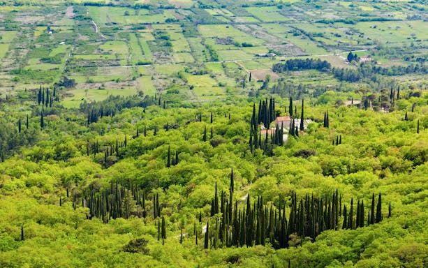 Bird's-eye view of fields and villages in Konavle region near Dubrovnik, surrounded by greenery.