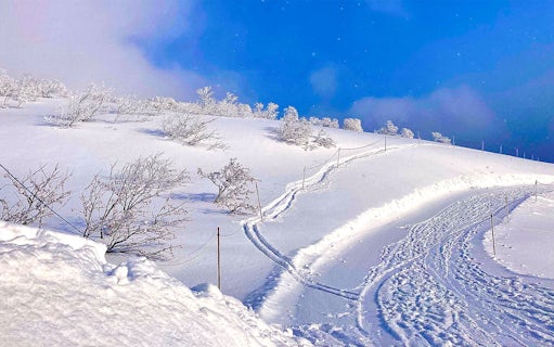 Snow-covered slopes with ski tracks at Niseko, Japan.