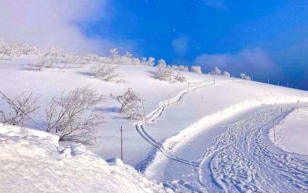 Snow-covered slopes with ski tracks at Niseko, Japan.