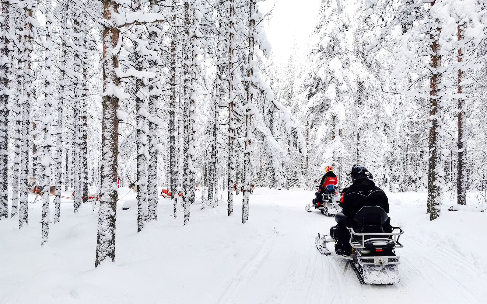 Snowmobile riders in snowy forest, Rovaniemi tour.