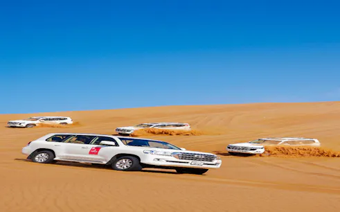 dubai desert safari with bbq dinner & live shows-1