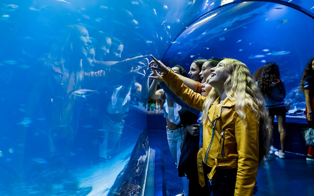 Kids exploring aquarium tunnel at Atlantis Aquarium.