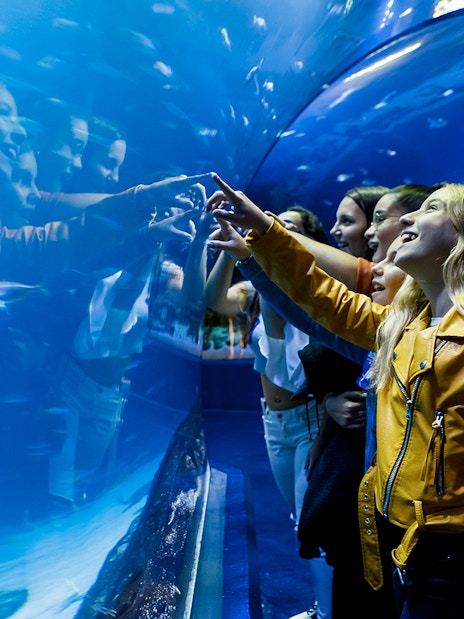 Kids exploring aquarium tunnel at Atlantis Aquarium.