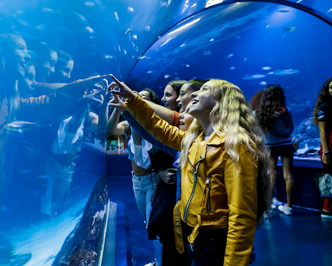 Atlantis Aquarium Madrid Tickets